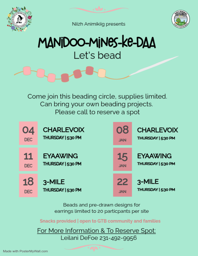 manidoomineske_flyer_for_decjan_3.jpg manidoomineske_flyer_for_decjan_3.jpg