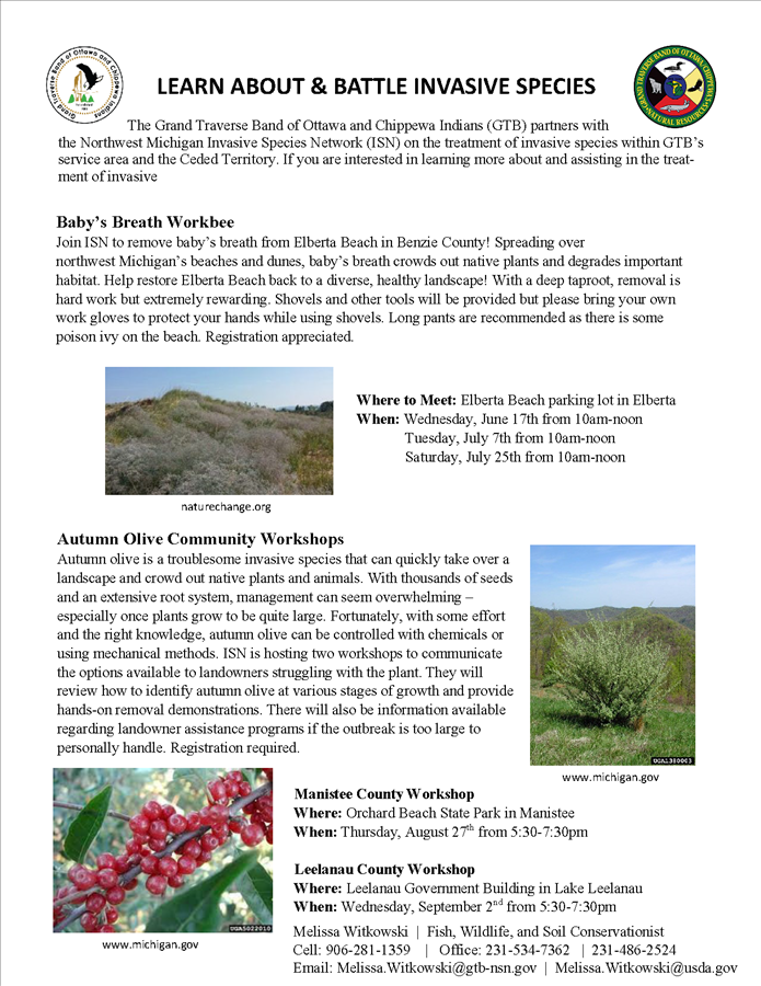 opportunities_to_learn_about_and_battle_invasive_species_2026_contact_3.png opportunities_to_learn_about_and_battle_invasive_species_2026_contact_3.png