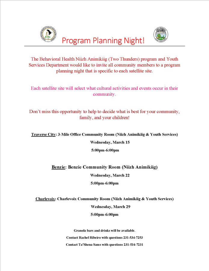 program_planning_night_march_flyerys.png