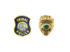 BADGES BADGES